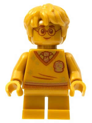 LEGO hp284 Allemaal Steentjes