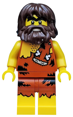 LEGO col302 Allemaal Steentjes