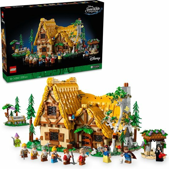 LEGO 43242 Verhuur Allemaal Steentjes