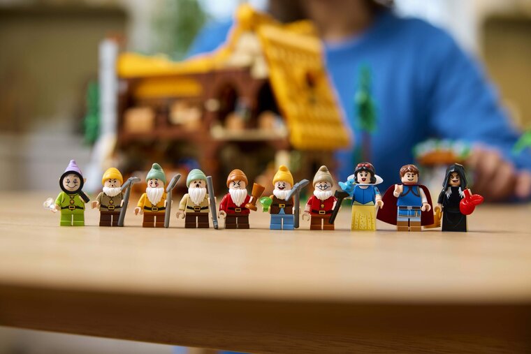 LEGO 43242 Verhuur Allemaal Steentjes
