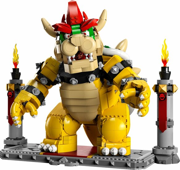 LEGO 71411 verhuur bij Allemaal Steentjes