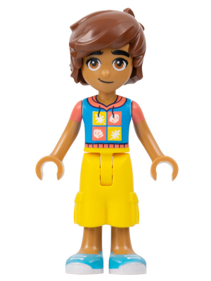 LEGO frnd587 Allemaal Steentjes
