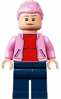 LEGO jw069 Allemaal Steentje
