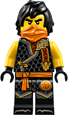 LEGO njo0894 Allemaal Steentjes