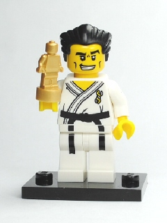 LEGO col02-14 Allemaal Steentjes