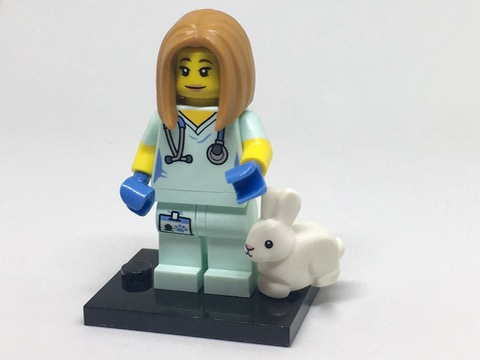 LEGO col17-5 Allemaal Steentjes