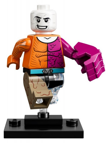 LEGO colsh-12 Allemaal Steentjes