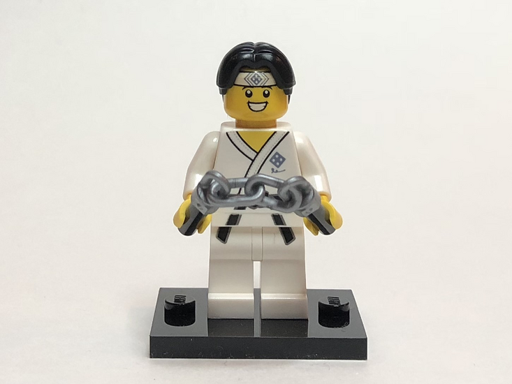 LEGO col20-10 Allemaal Steentjes