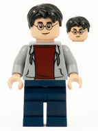 LEGO hp213