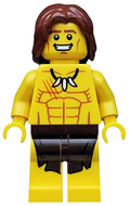 LEGO col106 Allemaal Steentjes