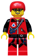 LEGO col171 Allemaal Steentjes