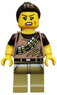 LEGO col188 Allemaal Steentjes