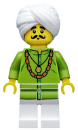 LEGO col198 Allemaal Steentjes