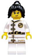 LEGO coltlnm02 Allemaal Steentjes