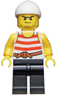 LEGO pi169 Allemaal Steentjes