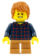 LEGO hol088 Allemaal Steentjes