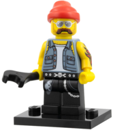 LEGO col10-16 Allemaal Steentjes