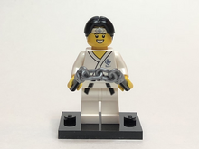 LEGO col20-10 Allemaal Steentjes