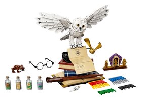 LEGO  Harry Potter™ Zweinstein™ Iconen - 76391 verhuur